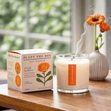 Load image into Gallery viewer, Catalan Calendula Plant The Box Candle
