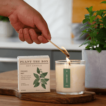 Load image into Gallery viewer, Crushed Mint Plant The Box Candle

