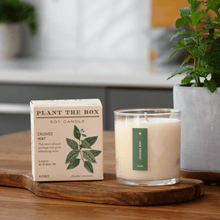 Load image into Gallery viewer, Crushed Mint Plant The Box Candle
