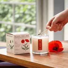 Load image into Gallery viewer, Red Poppy Plant The Box Candle
