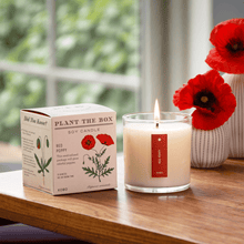 Load image into Gallery viewer, Red Poppy Plant The Box Candle
