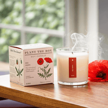 Load image into Gallery viewer, Red Poppy Plant The Box Candle
