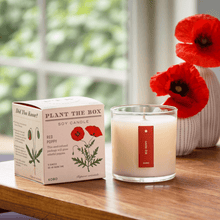 Load image into Gallery viewer, Red Poppy Plant The Box Candle
