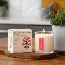 Load image into Gallery viewer, Somerset Thyme Plant The Box Candle
