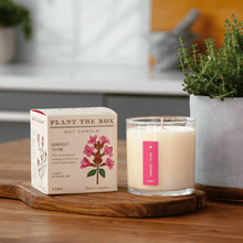 Load image into Gallery viewer, Somerset Thyme Plant The Box Candle
