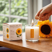 Load image into Gallery viewer, Sweet Sunflower Plant The Box Candle
