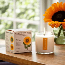 Load image into Gallery viewer, Sweet Sunflower Plant The Box Candle
