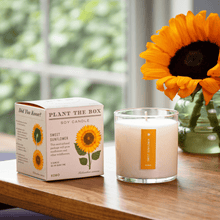 Load image into Gallery viewer, Sweet Sunflower Plant The Box Candle
