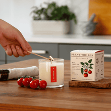 Load image into Gallery viewer, Wild Tomato Vine Plant the Box Candle
