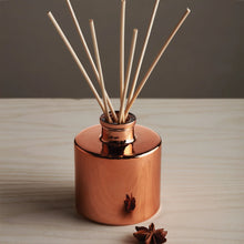 Load image into Gallery viewer, Simmered Cider Petite Reed Diffuser
