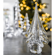Load image into Gallery viewer, Spruce Evergreen, 6&quot;
