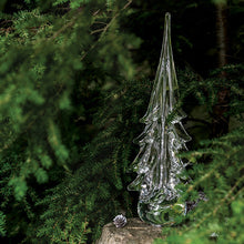 Load image into Gallery viewer, Spruce Evergreen, 18&quot;
