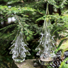 Load image into Gallery viewer, Spruce Evergreen, 18&quot;
