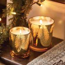 Load image into Gallery viewer, Frasier Fir Gilded 13 oz Poured Candle
