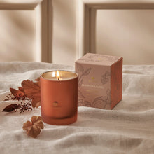 Load image into Gallery viewer, Pumpkin Laurel Boxed Candle, 6.5oz
