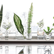 Load image into Gallery viewer, Woodbury Bud Vase
