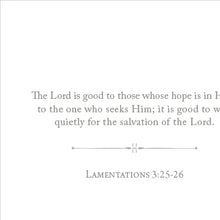 Load image into Gallery viewer, 100 Days of Scripture
