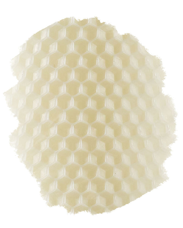 Ivory Beeswax 12