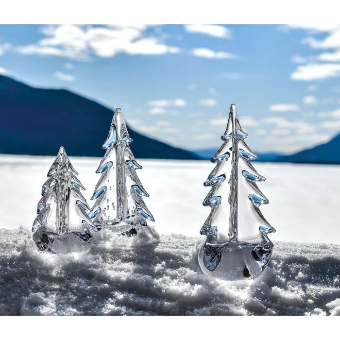 Vermont Evergreen Clear 10 inch