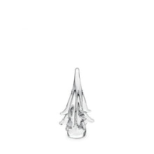 Load image into Gallery viewer, Spruce Evergreen, 6&quot;

