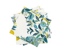 Load image into Gallery viewer, Citrus Garden Napkin, Set of 4
