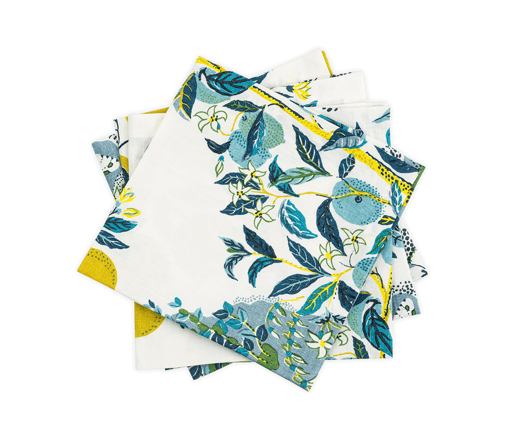 Citrus Garden Napkin, Set of 4