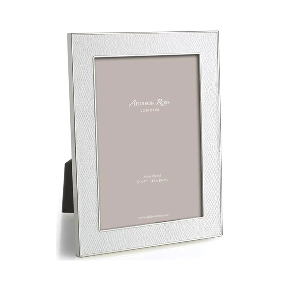 White Snake & Silver Frame, 4x6