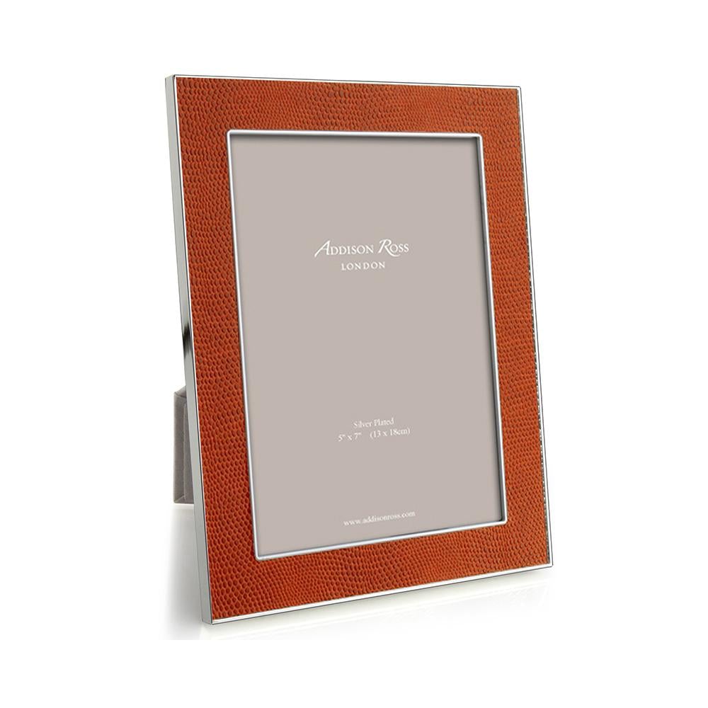 Orange Snake & Silver Frame, 4 x 6