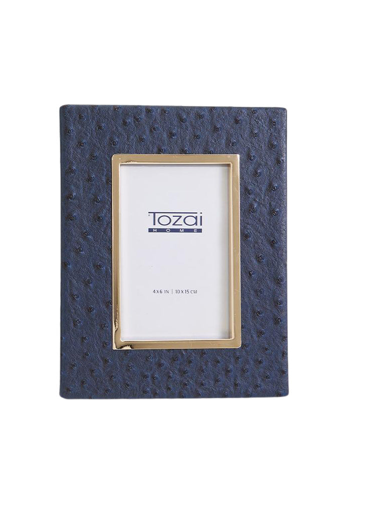 Navy Ostrich Frame, 4x6