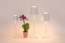 Load image into Gallery viewer, Poldina Pro Micro Lamp, Sage

