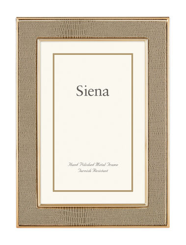 Lizard Silver Plate Frame, Tan with Gold 4x6
