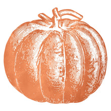 Load image into Gallery viewer, Die-Cut Pumpkin Placemat, 12 Sheets
