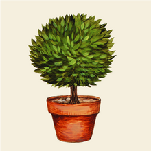 Load image into Gallery viewer, Topiary Cocktail Napkin, 20 Ct
