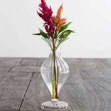 Load image into Gallery viewer, Ottico Glass Short Bud Vase/Candleholder, Set of 2
