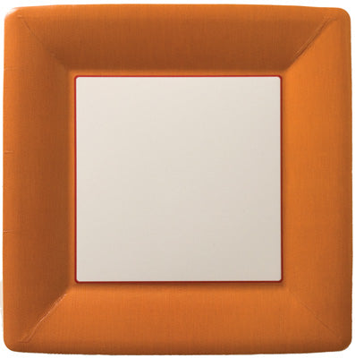 Terracotta Plastic Coated Dinner Plates