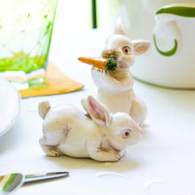 Load image into Gallery viewer, Spring Vegetables Bunny Salt and Pepper
