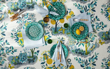 Load image into Gallery viewer, Citrus Garden Napkin, Set of 4
