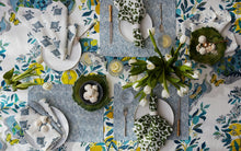 Load image into Gallery viewer, Citrus Garden Napkin, Set of 4
