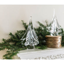 Load image into Gallery viewer, Spruce Evergreen, 6&quot;
