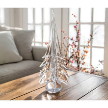 Load image into Gallery viewer, Spruce Evergreen, 6&quot;
