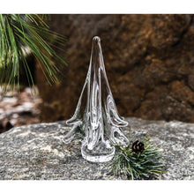 Load image into Gallery viewer, Spruce Evergreen, 6&quot;
