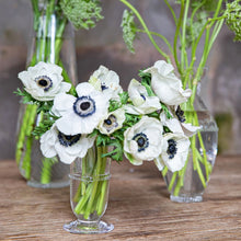 Load image into Gallery viewer, Graham Posey Vase
