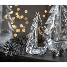 Load image into Gallery viewer, Vermont Evergreen, 10&quot;
