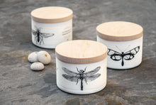Load image into Gallery viewer, Citronella Outdoor Sea Salt 3-Wick Candle
