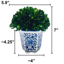 Load image into Gallery viewer, Preserved Boxwood in Blue &amp; White Planter, S
