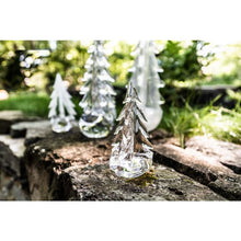Load image into Gallery viewer, Vermont Evergreen, 6&quot;
