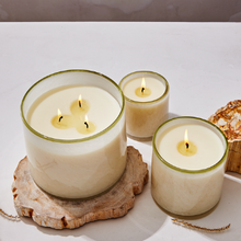 Load image into Gallery viewer, Signature 15.5 oz Ski House Candle, Feu De Bois
