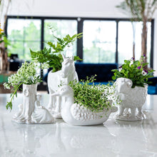 Load image into Gallery viewer, Clever Creatures Delphine Duck Bowl
