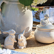 Load image into Gallery viewer, Clever Creatures Bunny Salt &amp; Pepper Set
