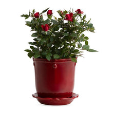 Load image into Gallery viewer, Berry &amp; Thread Ruby 5.25&quot; Planter &amp; Saucer
